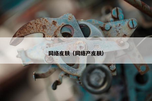 网络皮肤（网络产皮肤）