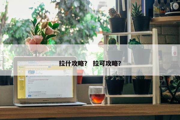 拉什攻略？ 拉可攻略？