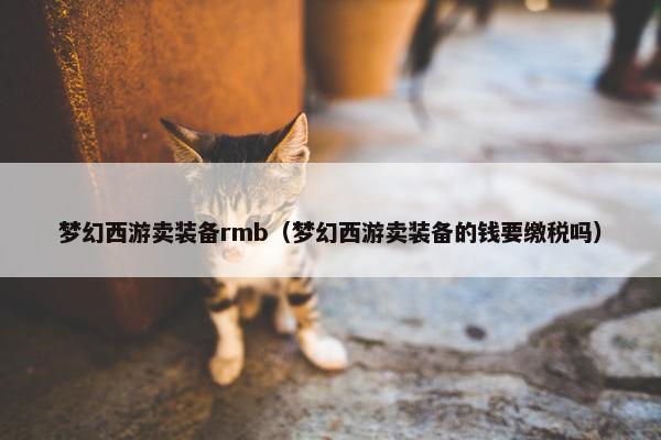 梦幻西游卖装备rmb（梦幻西游卖装备的钱要缴税吗）