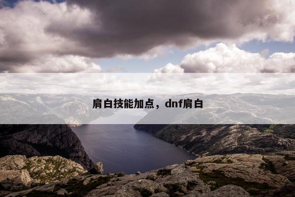 肩白技能加点，dnf肩白