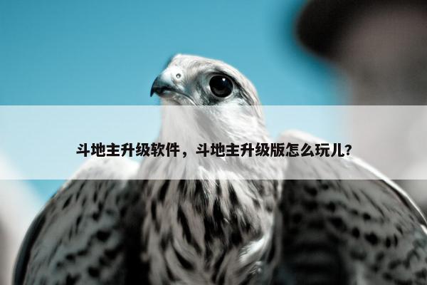 斗地主升级软件，斗地主升级版怎么玩儿?