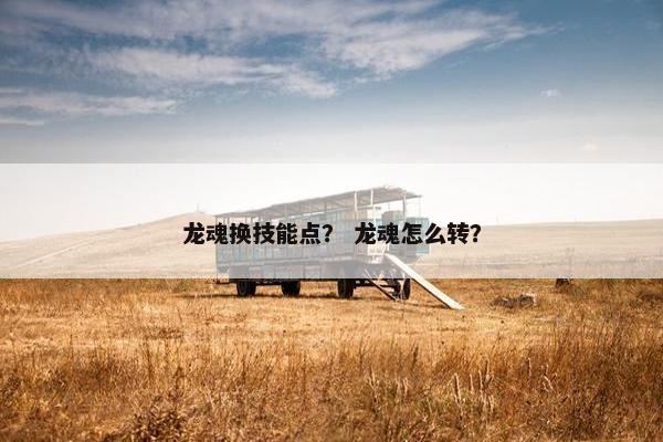 龙魂换技能点？ 龙魂怎么转？