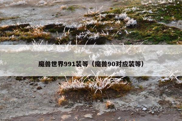 魔兽世界991装等（魔兽90对应装等）