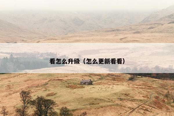 看怎么升级（怎么更新看看）