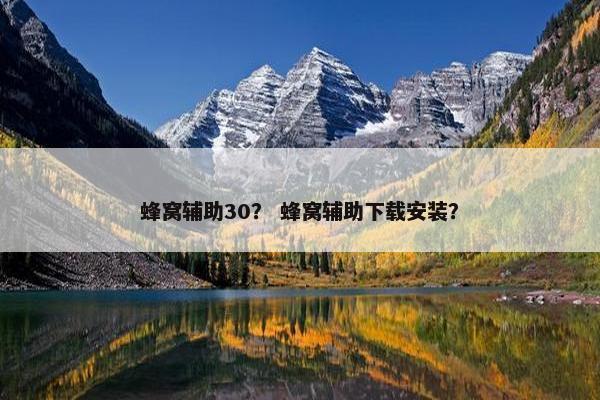 蜂窝辅助30？ 蜂窝辅助下载安装？