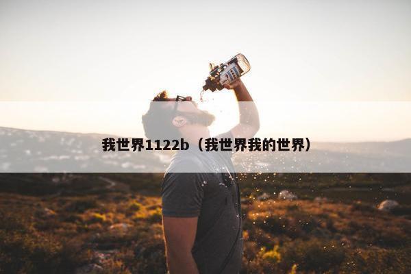 我世界1122b（我世界我的世界）