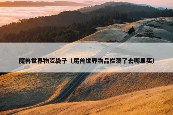 魔兽世界物资袋子（魔兽世界物品栏满了去哪里买）