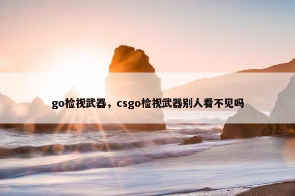 go检视武器，csgo检视武器别人看不见吗