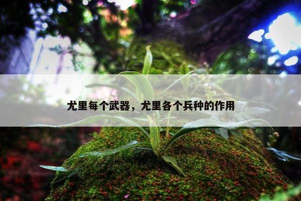 尤里每个武器，尤里各个兵种的作用