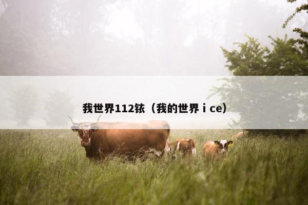 我世界112铱（我的世界ⅰce）