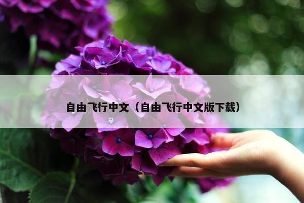 自由飞行中文（自由飞行中文版下载）