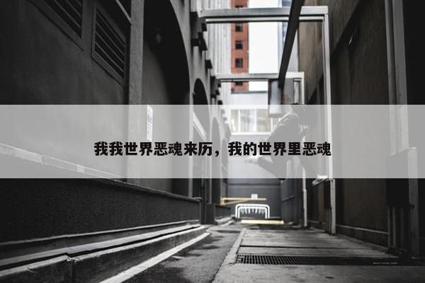 我我世界恶魂来历，我的世界里恶魂