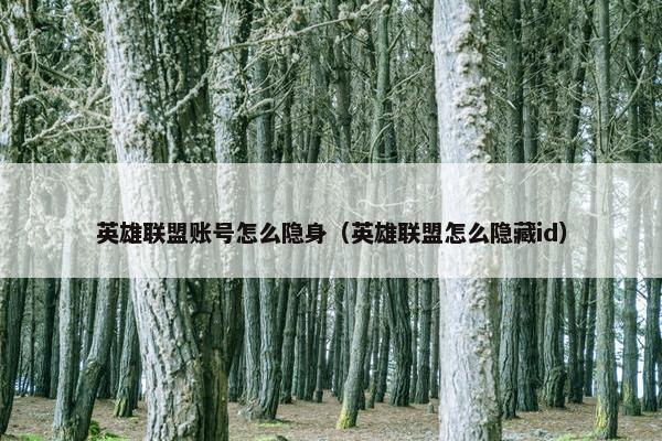 英雄联盟账号怎么隐身（英雄联盟怎么隐藏id）