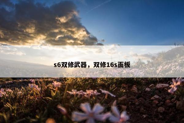 s6双修武器，双修16s面板