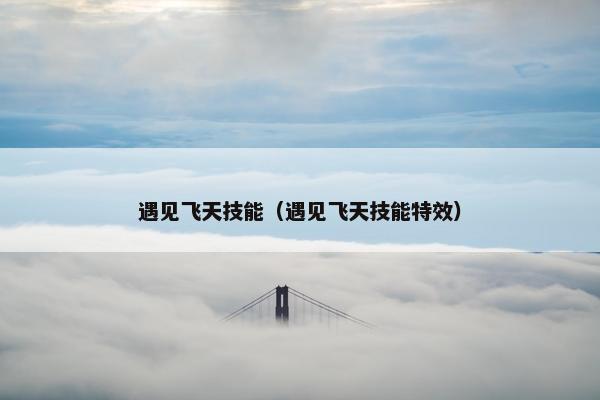 遇见飞天技能（遇见飞天技能特效）