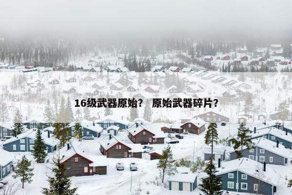 16级武器原始？ 原始武器碎片？