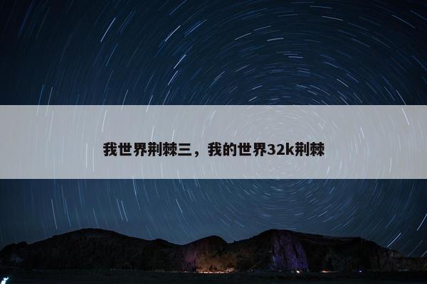 我世界荆棘三，我的世界32k荆棘