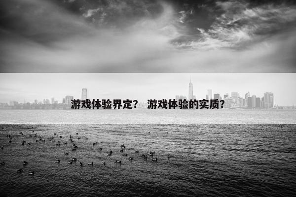 游戏体验界定？ 游戏体验的实质？