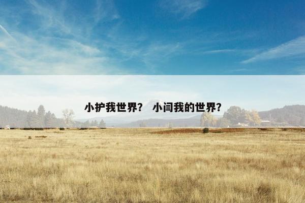 小护我世界？ 小闫我的世界？