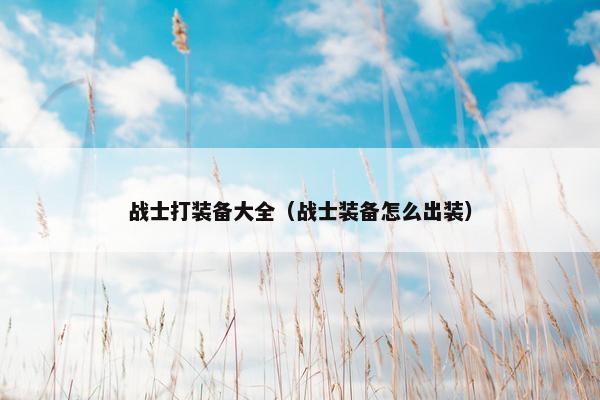 战士打装备大全（战士装备怎么出装）