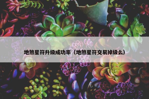 地煞星符升级成功率（地煞星符交易掉级么）