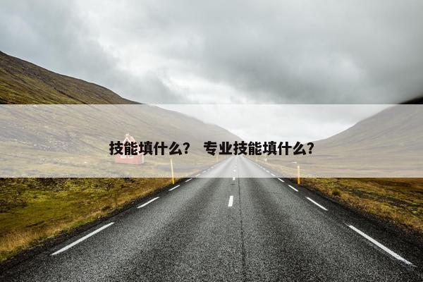 技能填什么？ 专业技能填什么？