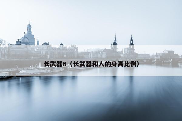 长武器6（长武器和人的身高比例）
