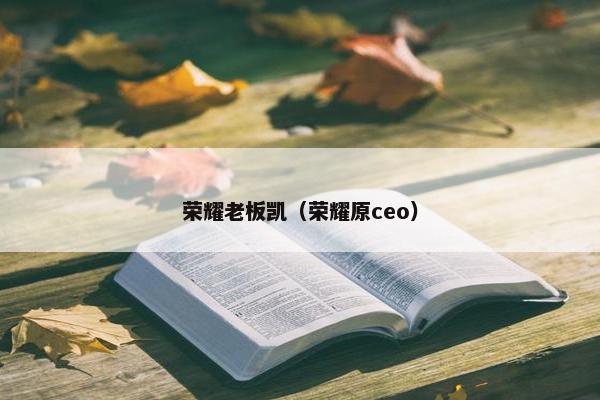 荣耀老板凯（荣耀原ceo）