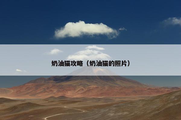 奶油猫攻略（奶油猫的照片）