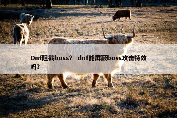 Dnf阻截boss？ dnf能屏蔽boss攻击特效吗？