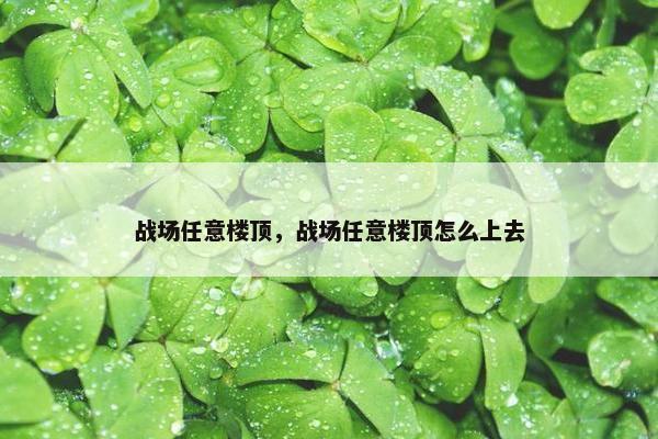战场任意楼顶，战场任意楼顶怎么上去