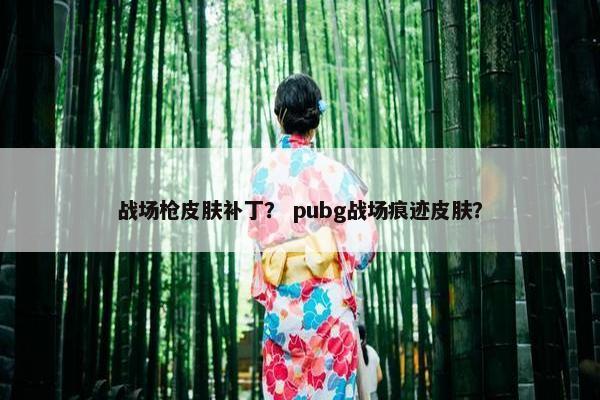 战场枪皮肤补丁？ pubg战场痕迹皮肤？