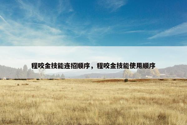 程咬金技能连招顺序，程咬金技能使用顺序