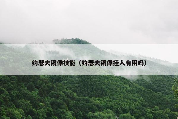 约瑟夫镜像技能（约瑟夫镜像挂人有用吗）