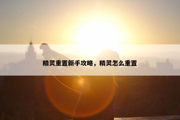 精灵重置新手攻略，精灵怎么重置
