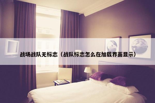 战场战队无标志（战队标志怎么在加载界面显示）