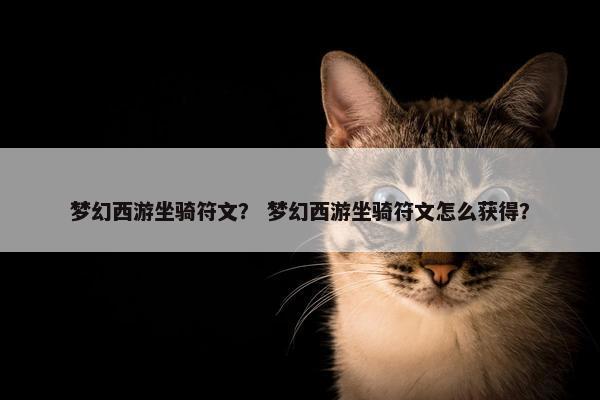 梦幻西游坐骑符文？ 梦幻西游坐骑符文怎么获得？