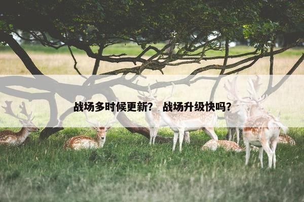 战场多时候更新？ 战场升级快吗？