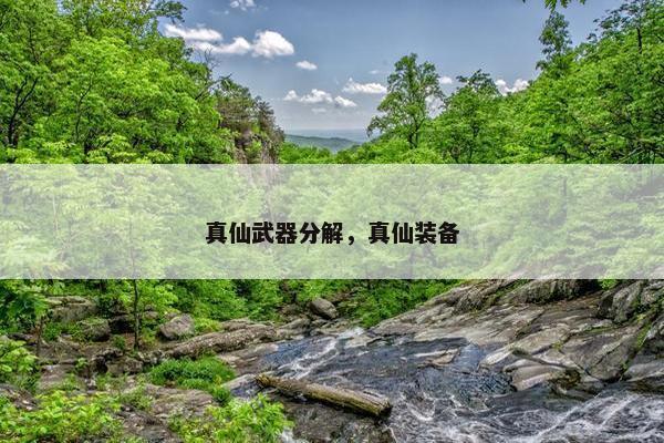 真仙武器分解，真仙装备