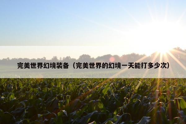 完美世界幻境装备（完美世界的幻境一天能打多少次）
