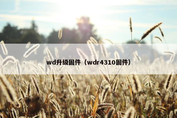 wd升级固件（wdr4310固件）