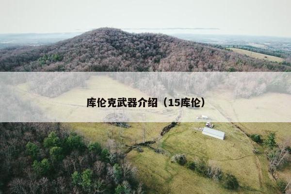 库伦克武器介绍（15库伦）