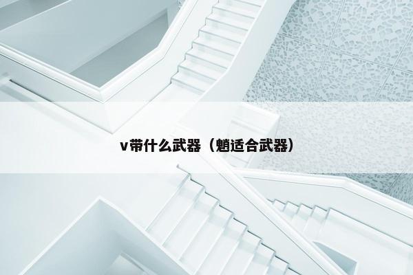 v带什么武器（魈适合武器）