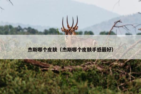 杰斯哪个皮肤（杰斯哪个皮肤手感最好）