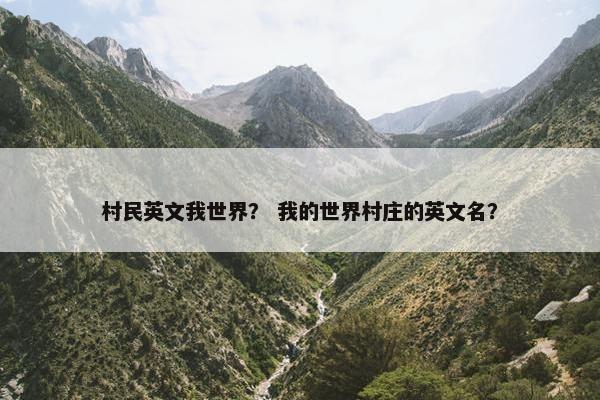 村民英文我世界？ 我的世界村庄的英文名？