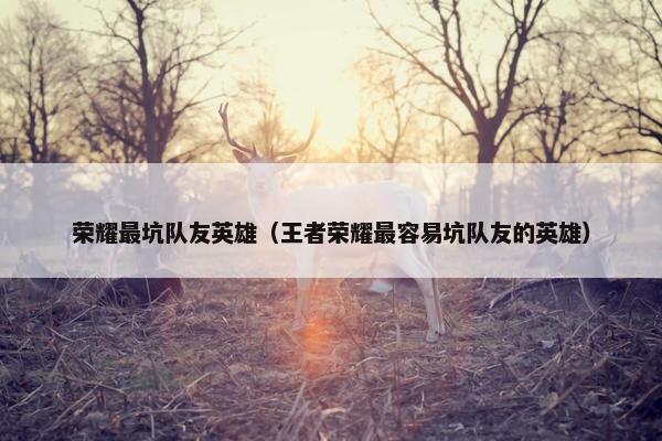 荣耀最坑队友英雄（王者荣耀最容易坑队友的英雄）