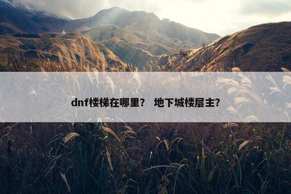 dnf楼梯在哪里？ 地下城楼层主？