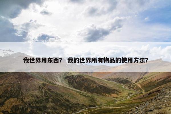 我世界用东西？ 我的世界所有物品的使用方法？