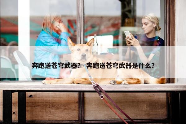 奔跑送苍穹武器？ 奔跑送苍穹武器是什么？