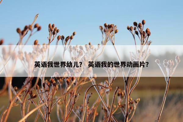 英语我世界幼儿？ 英语我的世界动画片？